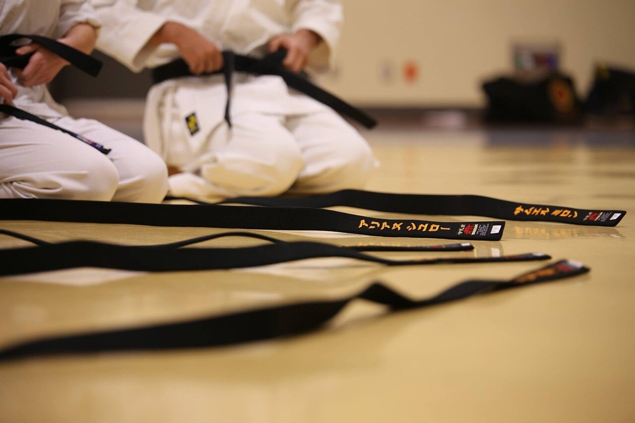 black-belt-894190_1280